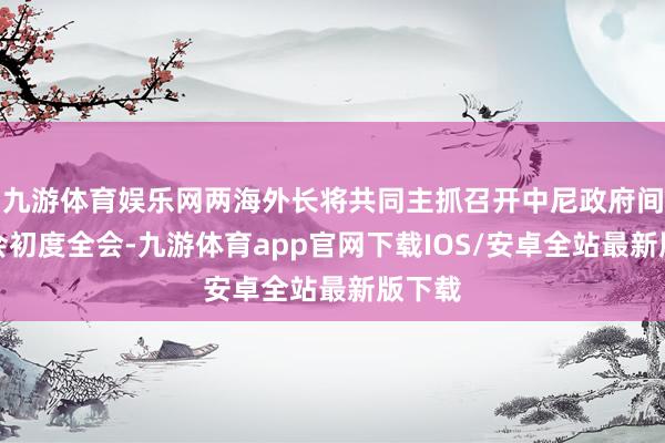 九游体育娱乐网两海外长将共同主抓召开中尼政府间委员会初度全会-九游体育app官网下载IOS/安卓全站最新版下载