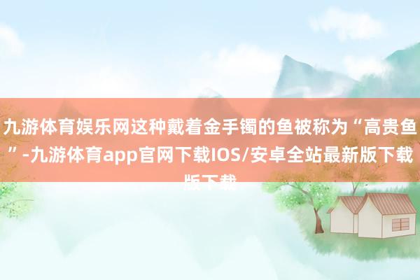 九游体育娱乐网这种戴着金手镯的鱼被称为“高贵鱼”-九游体育app官网下载IOS/安卓全站最新版下载