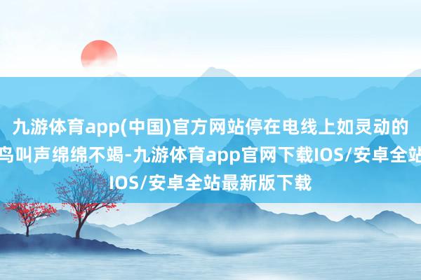 九游体育app(中国)官方网站停在电线上如灵动的音符嘎嘎的鸟叫声绵绵不竭-九游体育app官网下载IOS/安卓全站最新版下载